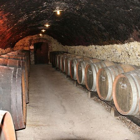 Chambres d'hôtes - Domaine Gigou La Chartre-sur-le-Loir Exterior foto